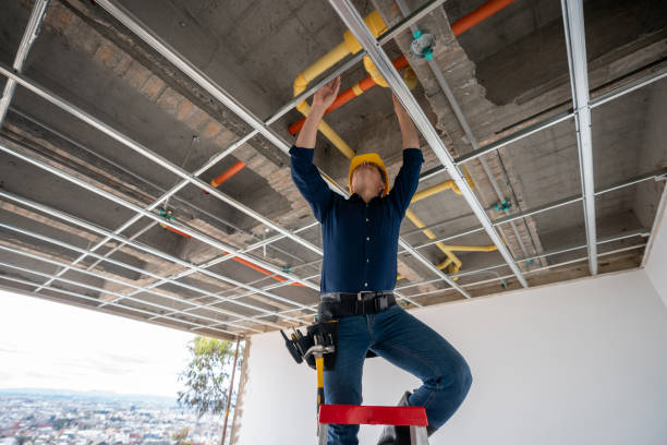 Best Plumbing Inspection Services  in Edgemont Park, MI
